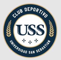Imagen institucional